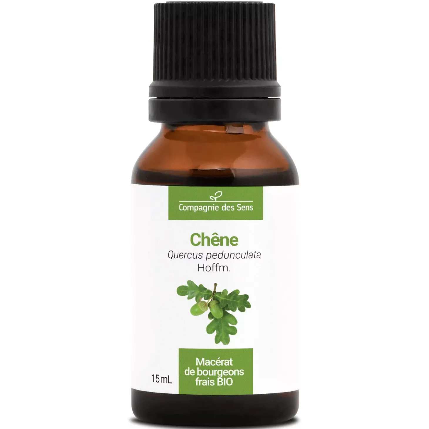Chêne bio (Quercus Pedunculata) – Macérat concentré de bourgeons frais