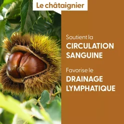 Châtaignier bio (Castanea Sativa) – Macérat concentré de bourgeons frais
