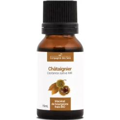 Châtaignier bio (Castanea Sativa) – Macérat concentré de bourgeons frais