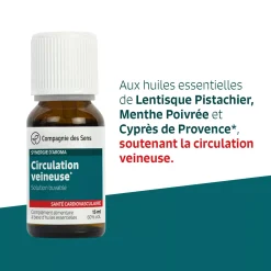 Circulation veineuse