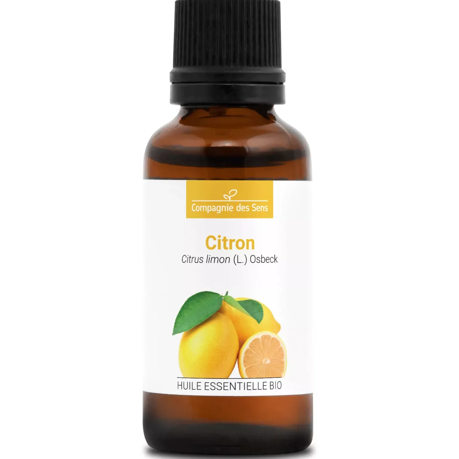 Citron (Citrus limon)