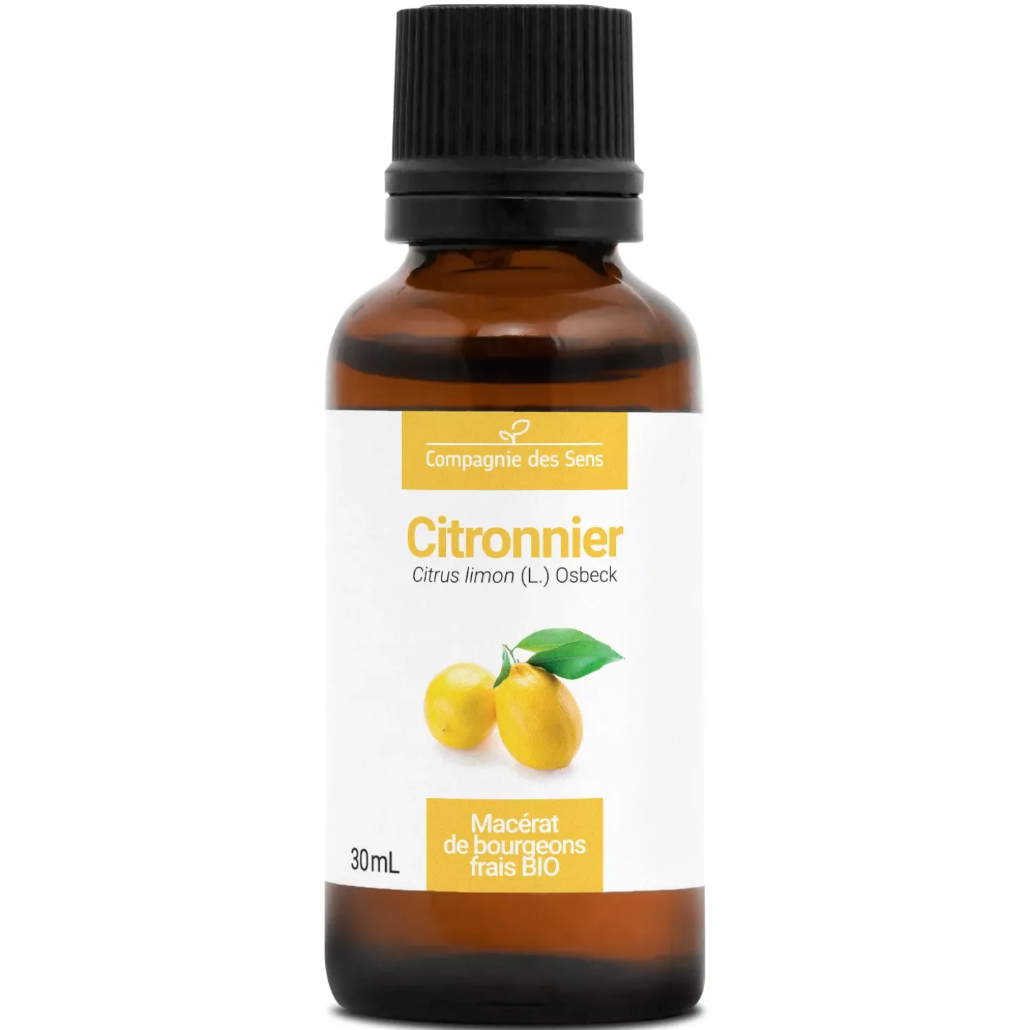 Citronnier bio (Citrus Limon) – Macérat concentré de bourgeons frais