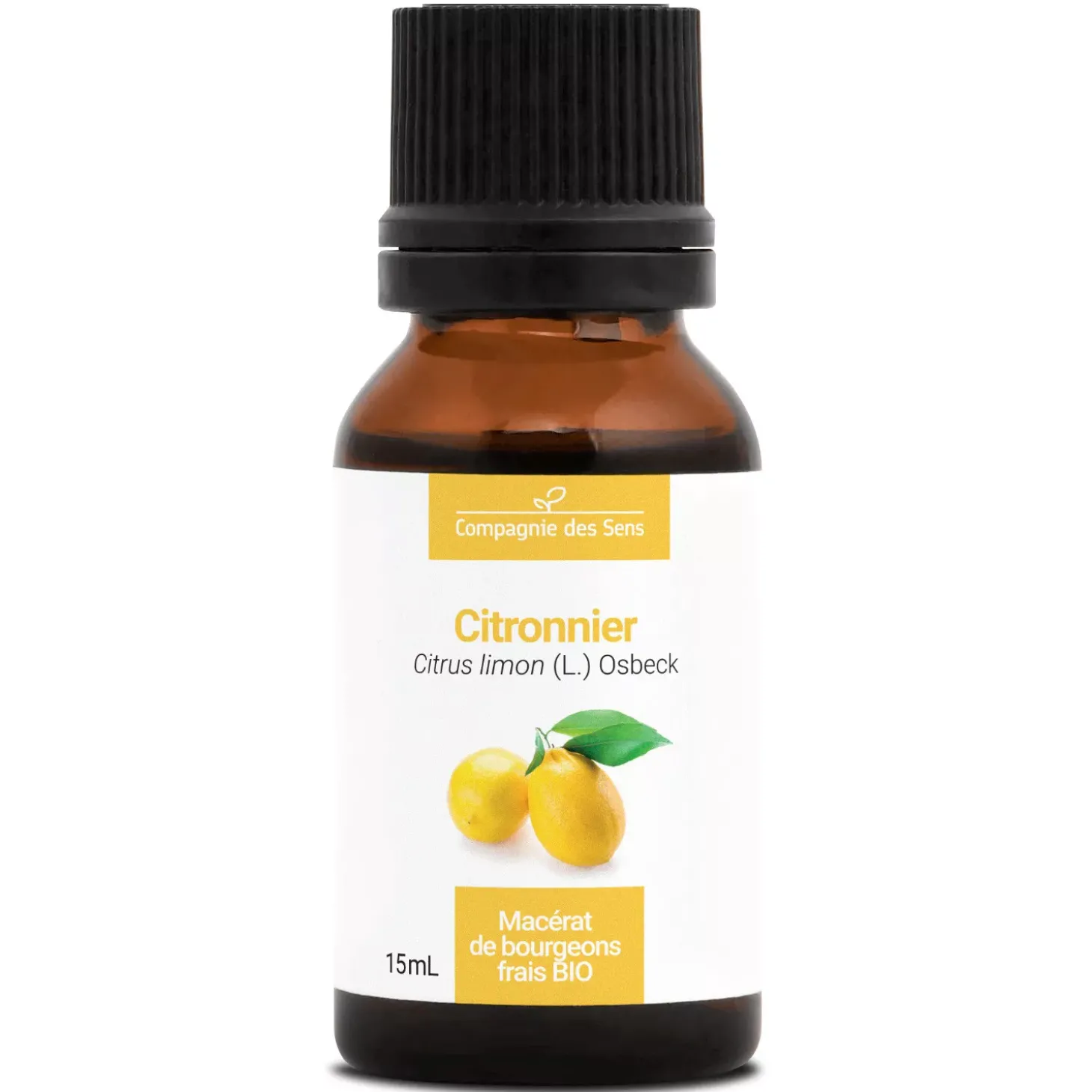 Citronnier bio (Citrus Limon) – Macérat concentré de bourgeons frais