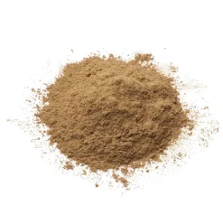 Cordyceps bio