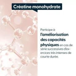 Créatine monohydrate 200 mesh 3000mg