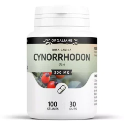 Cynorrhodon (Églantier) – Rosa canina – 100 gélules de 300 mg