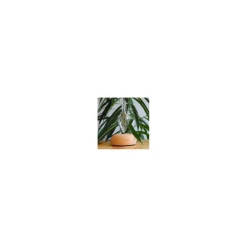 Diffuseur Bao