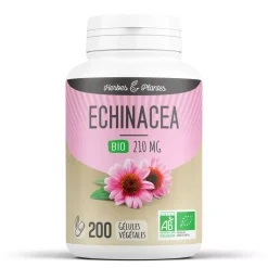 Echinacea bio