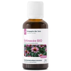 Echinacée bio (Echinacea Purpurea) – Extrait hydroalcoolique concentré