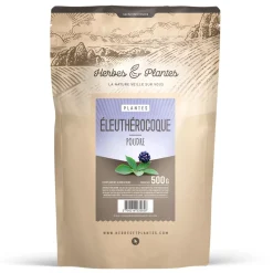 Eleuthérocoque
