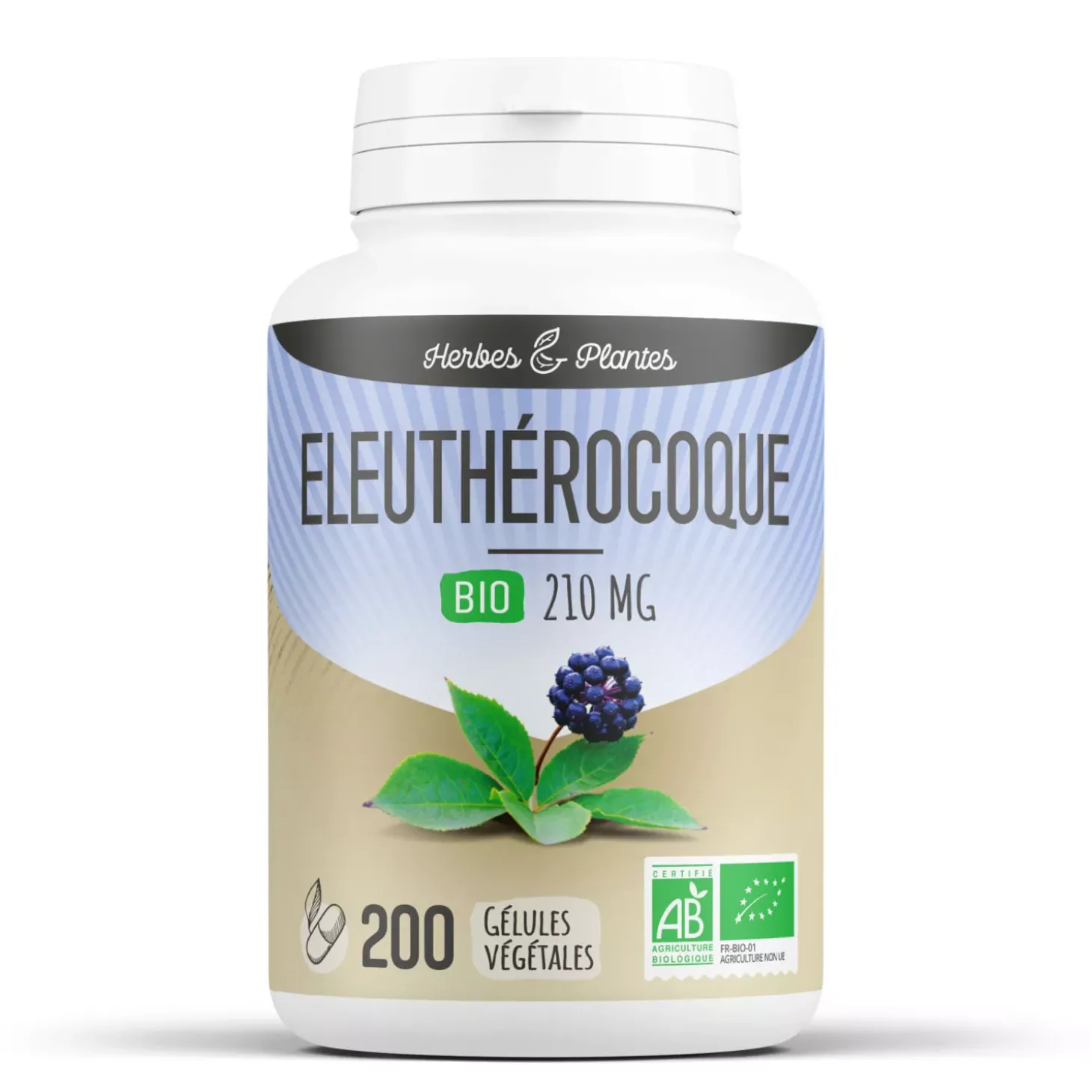 Eleuthérocoque bio