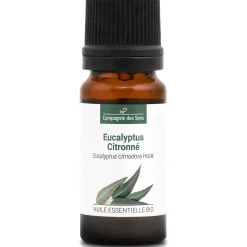 Eucalyptus citronné