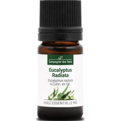 Eucalyptus radiata