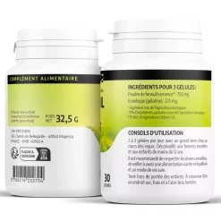 Fenouil bio