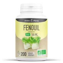 Fenouil bio