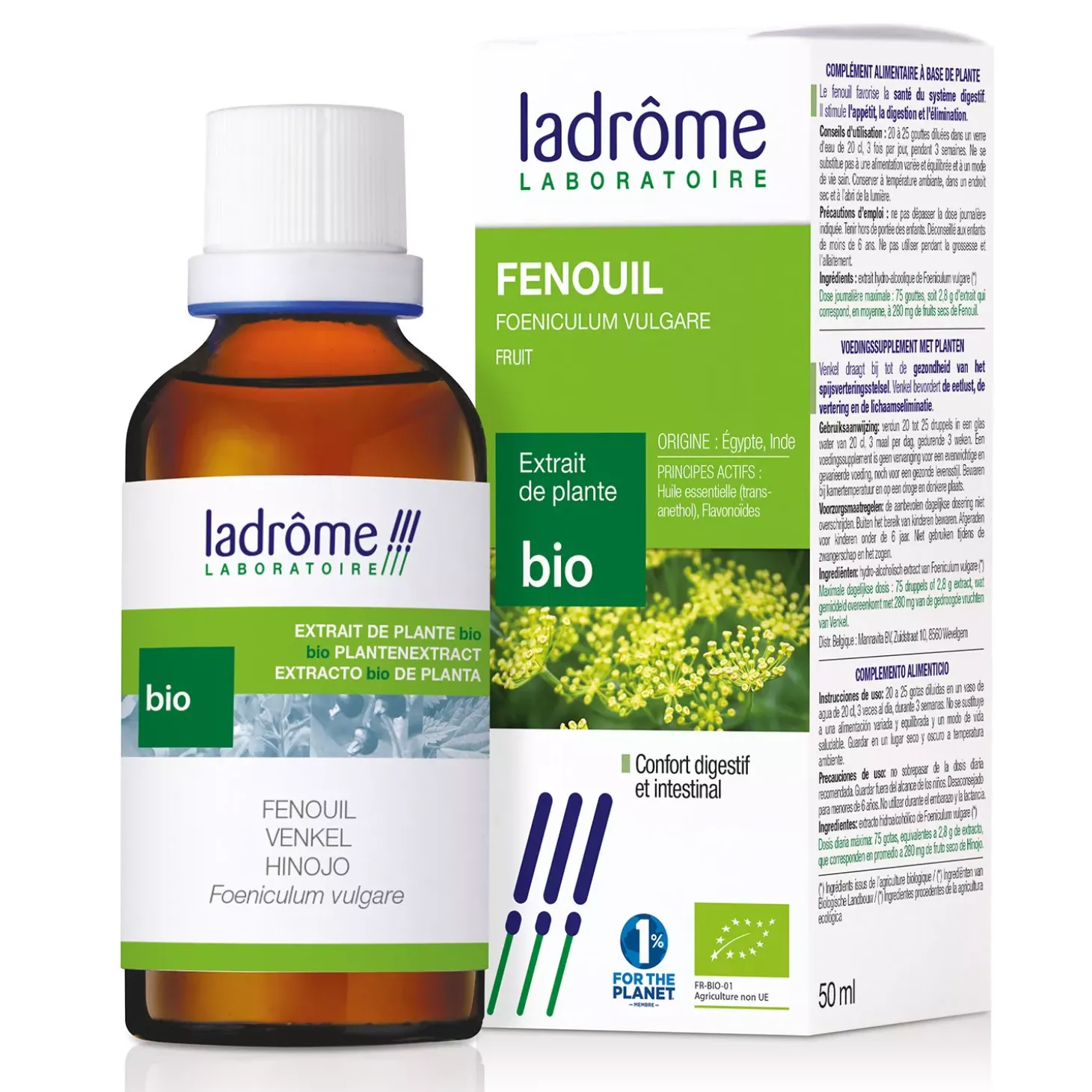 Fenouil bio – Foeniculum Vulgare – Extrait hydroalcoolique concentré