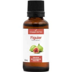 Figuier bio (Ficus Carica) – Macérat concentré de bourgeons frais