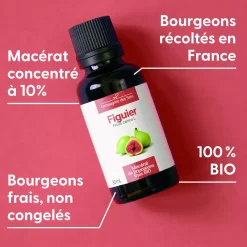 Figuier bio (Ficus Carica) – Macérat concentré de bourgeons frais