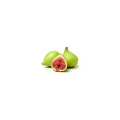 Figuier bio (Ficus Carica) – Macérat concentré de bourgeons frais