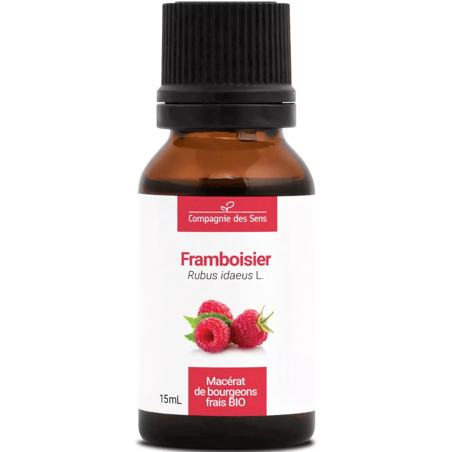 Framboisier bio (Rubus Idaeus) – Macérat concentré de bourgeons frais