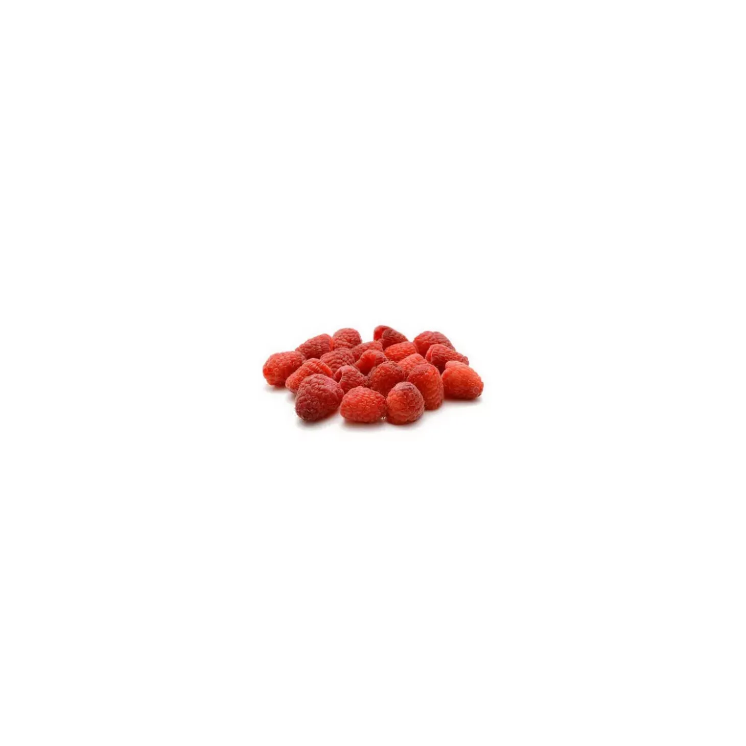 Framboisier bio (Rubus Idaeus) – Macérat concentré de bourgeons frais