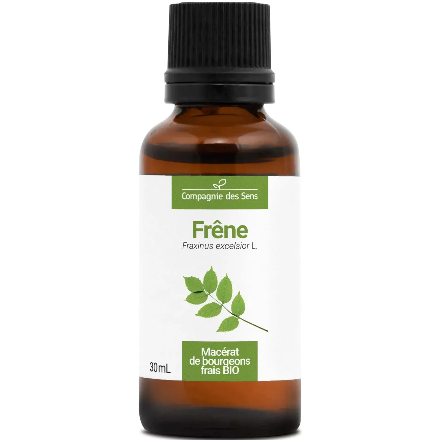 Frêne bio (Fraxinus Excelsior) – Macérat concentré de bourgeons frais