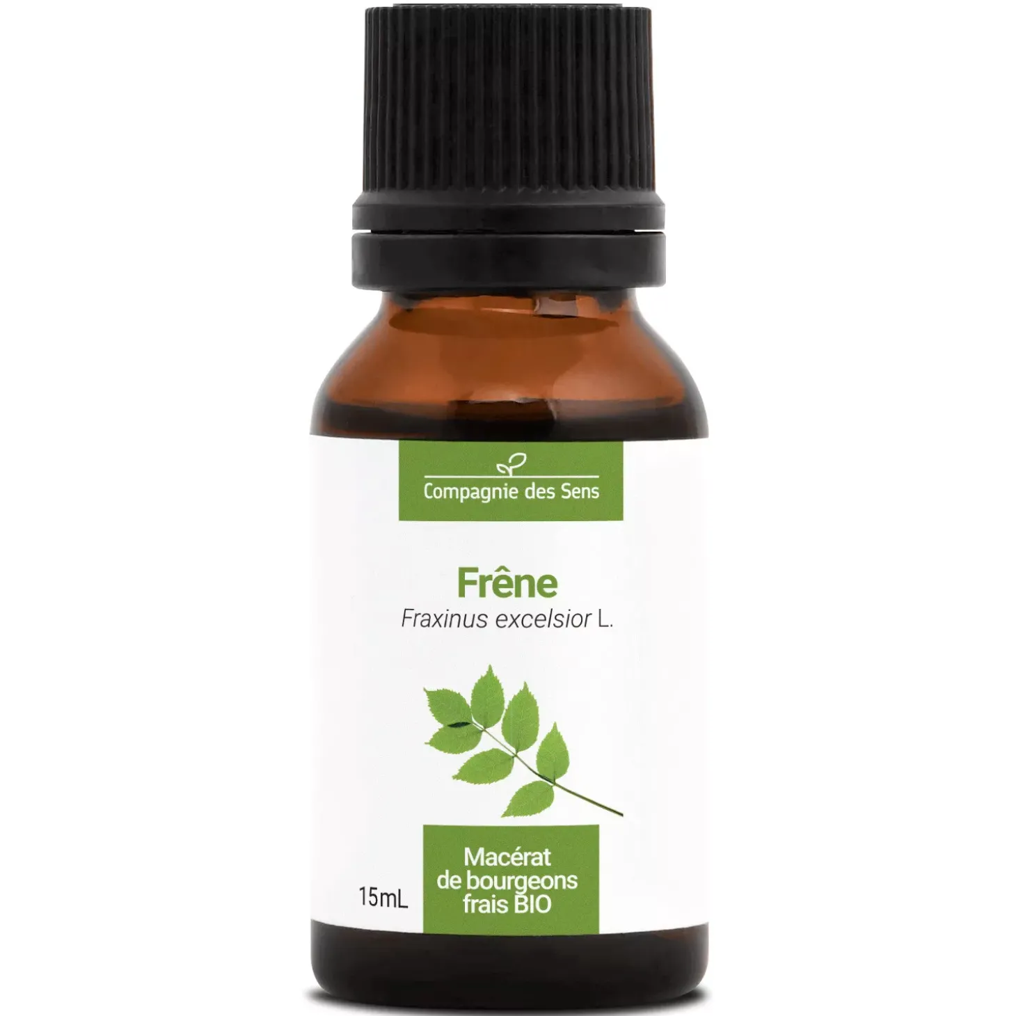 Frêne bio (Fraxinus Excelsior) – Macérat concentré de bourgeons frais