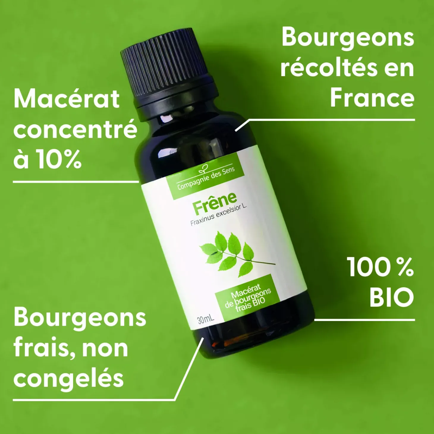 Frêne bio (Fraxinus Excelsior) – Macérat concentré de bourgeons frais
