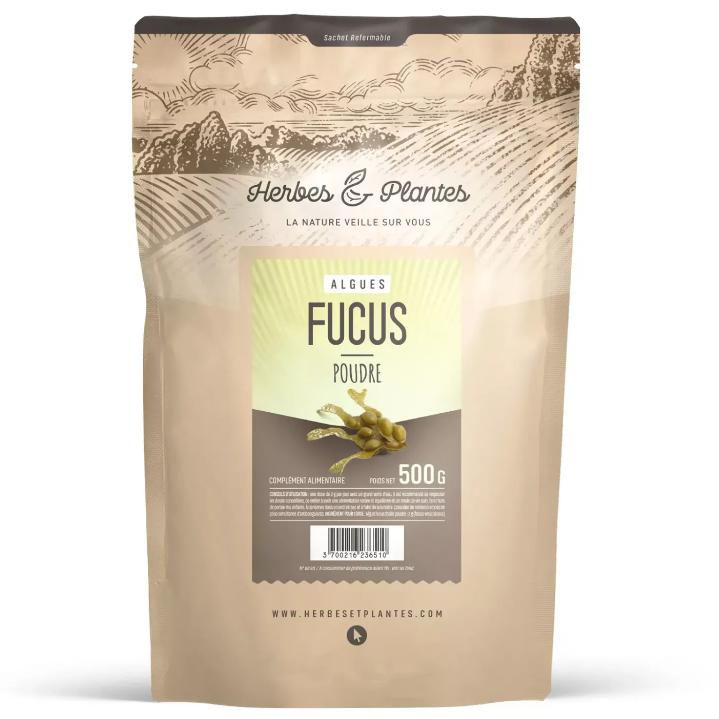Fucus