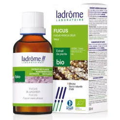Fucus bio – Fucus Vesiculosus – Extrait hydroalcoolique concentré