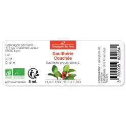 Gaulthérie couchée