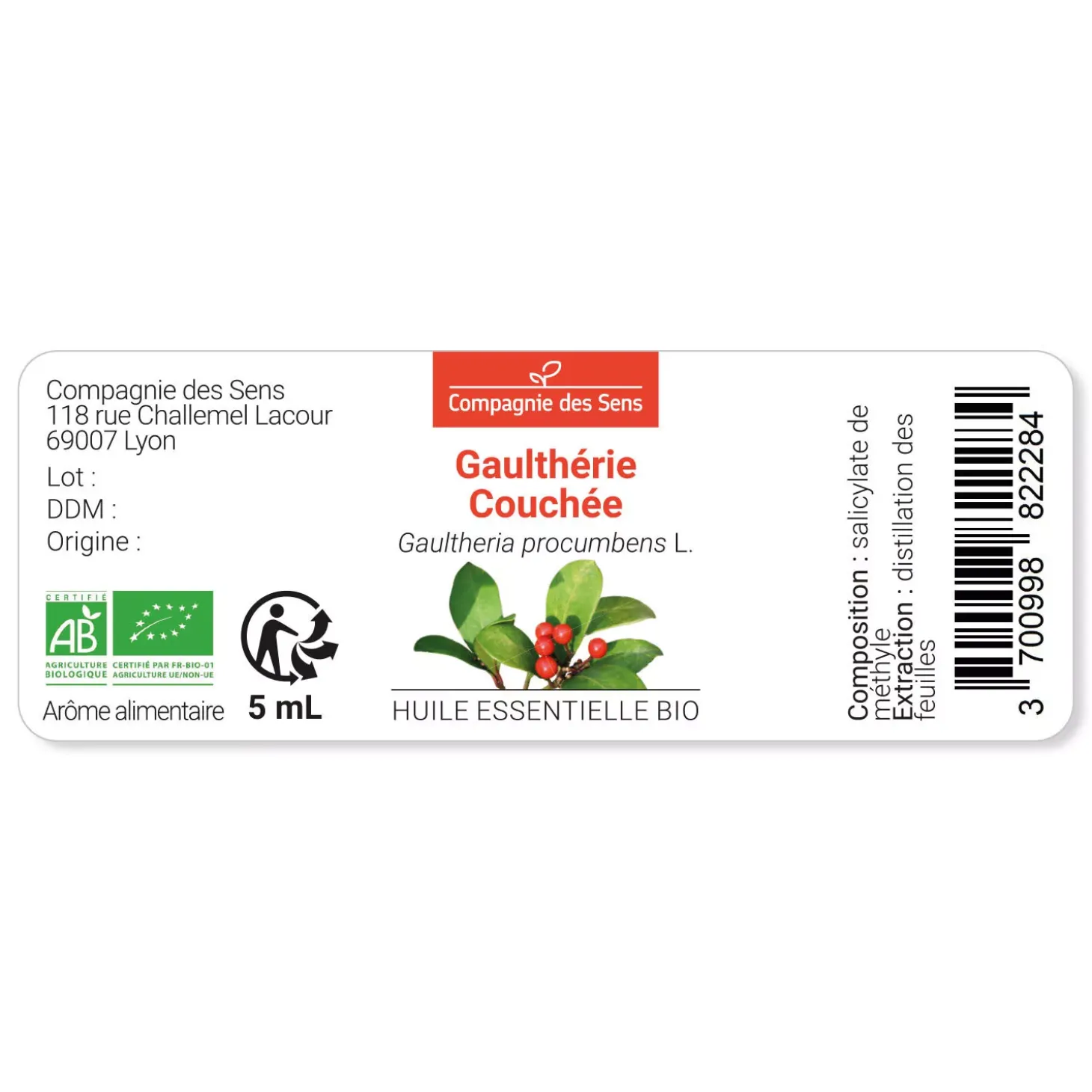 Gaulthérie couchée