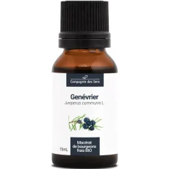 Genévrier bio (Juniperus Communis) – Macérat concentré de bourgeons frais