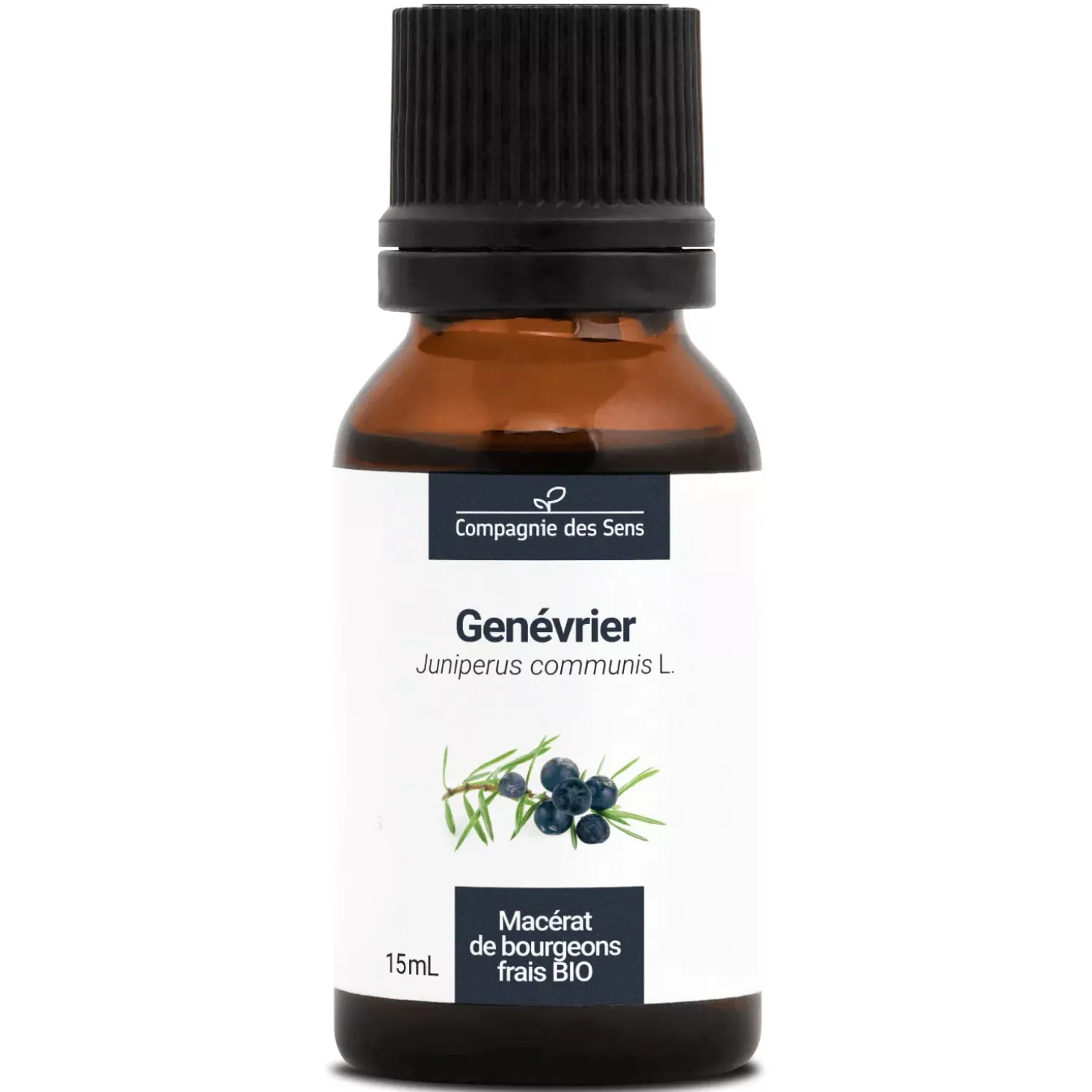 Genévrier bio (Juniperus Communis) – Macérat concentré de bourgeons frais