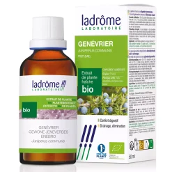 Genévrier commun (Genièvre) bio – Juniperus Communis – Extrait hydroalcoolique concentré