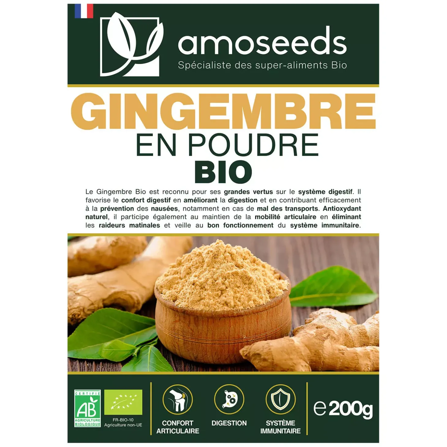 Gingembre bio
