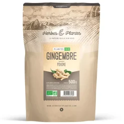 Gingembre bio