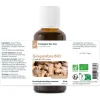 Gingembre bio (Zingiber Officinale) – Extrait hydroalcoolique concentré
