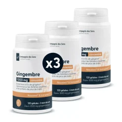 Gingembre concentré
