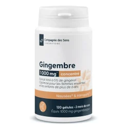 Gingembre concentré