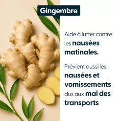 Gingembre concentré