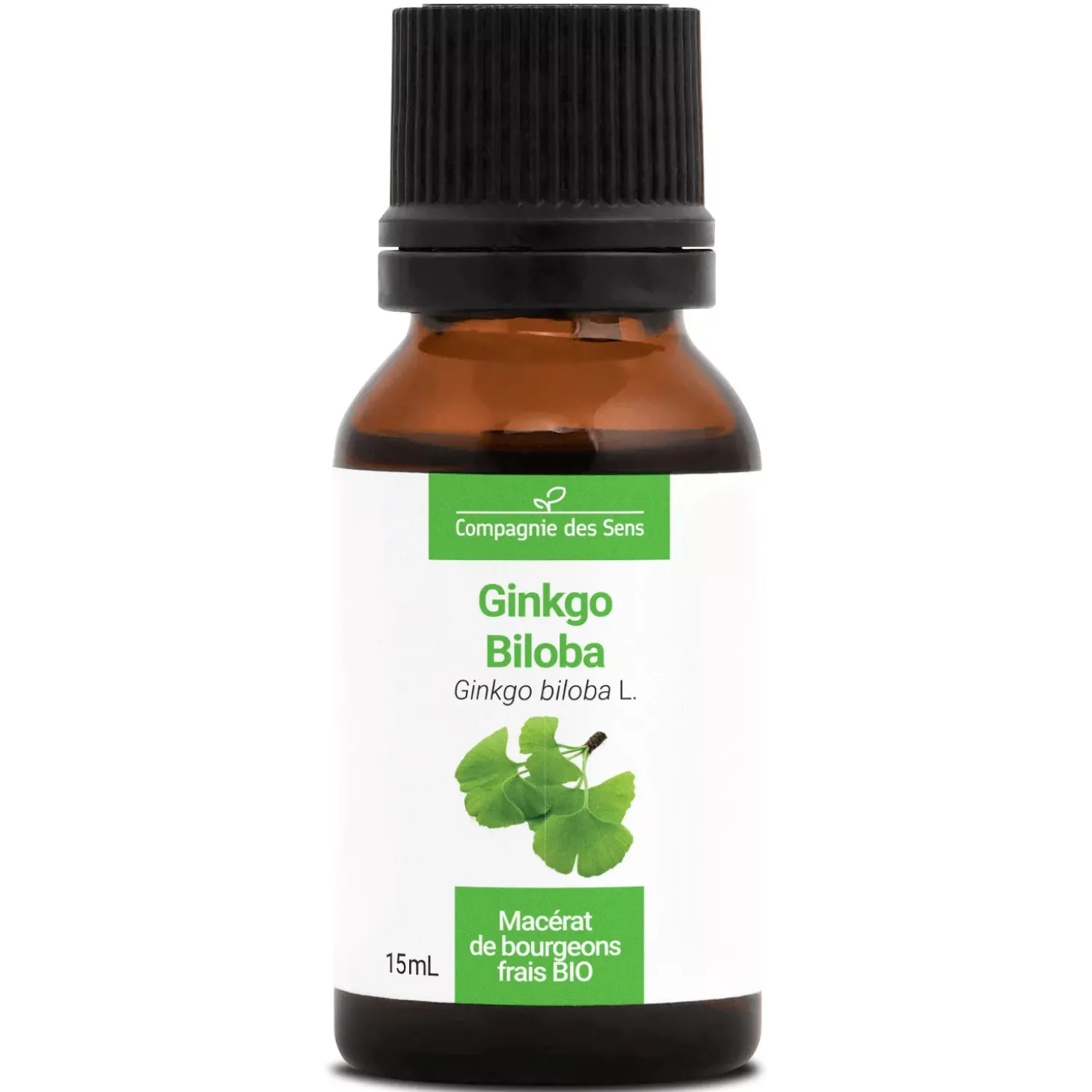 Ginkgo Biloba bio (Ginkgo Biloba) – Macérat concentré de bourgeons frais