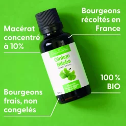 Ginkgo Biloba bio (Ginkgo Biloba) – Macérat concentré de bourgeons frais