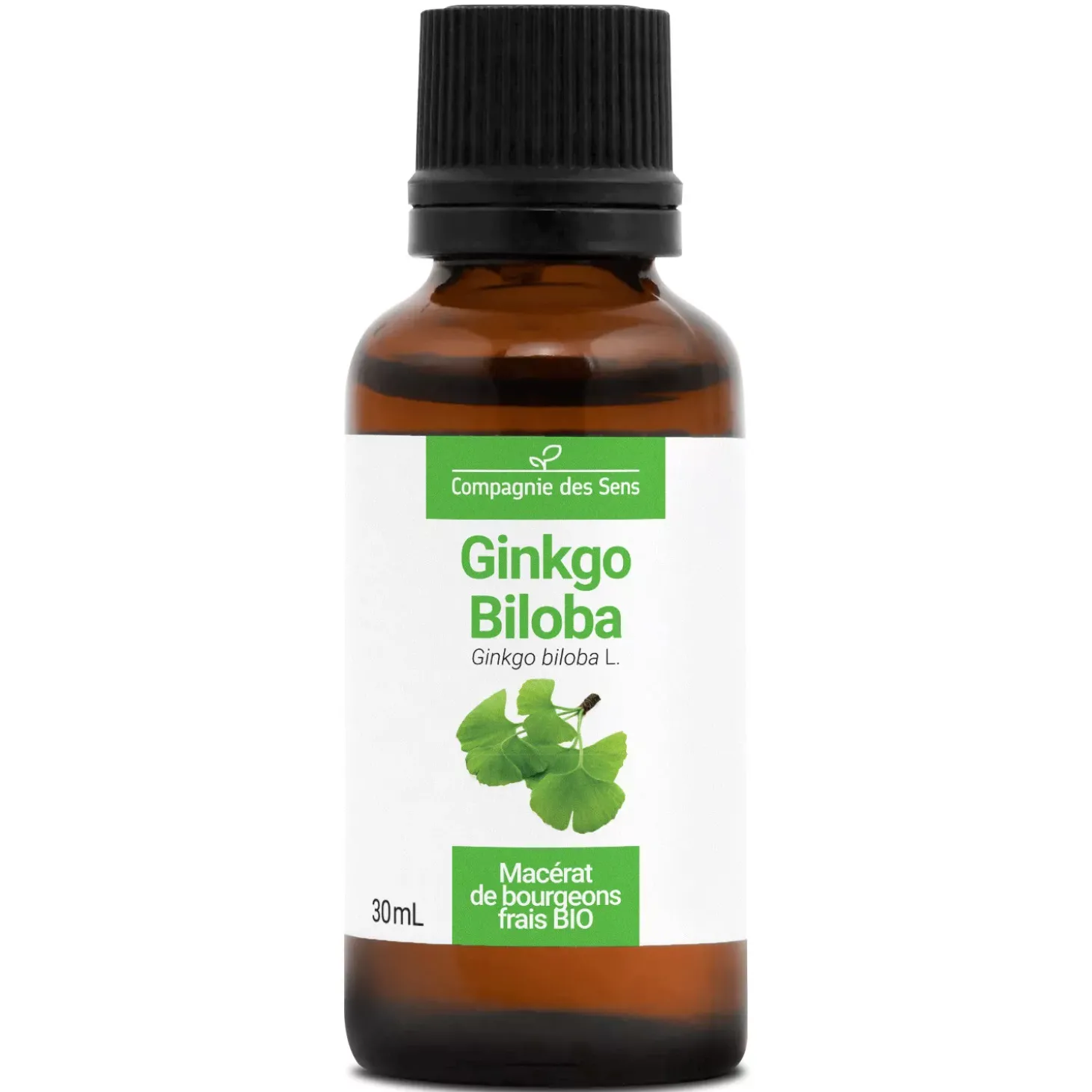 Ginkgo Biloba bio (Ginkgo Biloba) – Macérat concentré de bourgeons frais