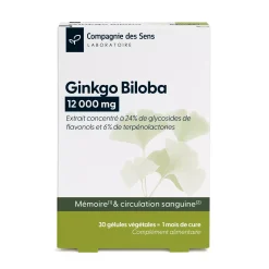 Ginkgo Biloba concentré