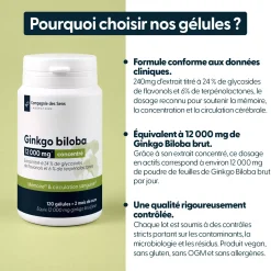 Ginkgo Biloba concentré