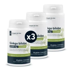 Ginkgo Biloba concentré