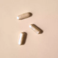 Ginkgo Biloba concentré
