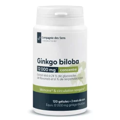 Ginkgo Biloba concentré