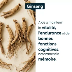 Ginseng concentré